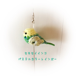 パステルカラーレインボー ブルーグリーン★セキセイインコ 小鳥 編みぐるみ ストラップ