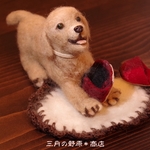 「午後のおるすばん」　ラブラドールレトリーバー