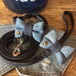 犬用首輪&リードセット