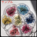 レースフラワー140枚/セレクトセット(๑>◡<๑)《◯大きめサイズ(2〜3cm)》♡押し花ハンドメイド/ケース付