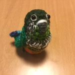 Miraさま♡専用注文ページ:お胸が可愛い♡ウロコインコちゃん（中型インコ）