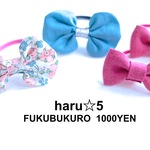 １/20(FRI) 22:00〜　＊＊ FUKUBUKURO  1000YEN ＊＊
