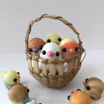 インコ盛り(４羽)