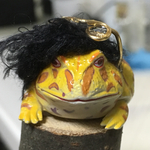 ファッションデザイナーベル美