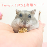 tamayou0702様専用ページ