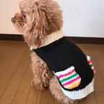 カラフルポケットが可愛い♡‼︎犬服♡セーター