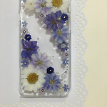 押し花ケース iPhone6/6s ＊ラベンダーの千鳥草 セパレート