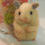 strawberrym様専用