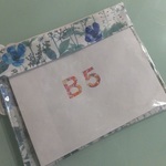 ｍ様オーダー＊リバティビニコのB5クリアポーチ＊イルマ