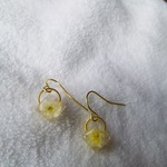 シンプルドライフラワーピアス