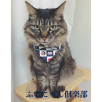 お寿司柄の蝶ネクタイ付き猫ちゃん首輪、バンダナ