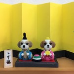 羊毛フェルトシーズー雛