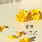 春風うらら✴︎ピアス（イヤリング）/ゴールド/クリスタル/レジン/ゆらゆら/ブーケ/菜の花/花束/お出かけ/はちみつ/ミモザ
