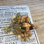 多肉植物カット苗🌵ブロウメアナ6カットセット🙌