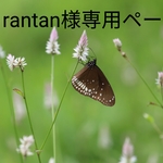 大人の着せ替え人形「あいちゃん」本体