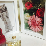 [写真立て] プリザーブドフラワー
