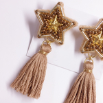 星刺繍ピアス★★片耳用