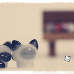 ねこのとんぼ玉【BomBom_シャム】