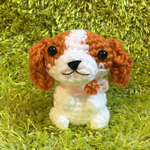 《besnow様専用》キャバリアちゃん
