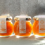 マーマレード大好き！！南の島のトロピカルマーマレードセット　くさら・たんかん・夏 みかん ギフト 無添加・白砂糖不使用