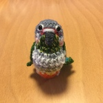 petit ailesさま♡専用注文ページ:ワキコガネウロコインコちゃん（中型インコ）