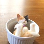 スフレ猫　ぷりん