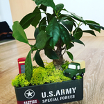 観葉植物♡