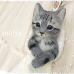  くつしたにゃんこ限定　ホークアイ様リクエスト品