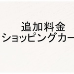 追加料金800円