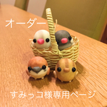 オーダーすみっコ様インコ盛りと単品ピーちゃん