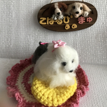 オールドイングリッシュシープドック