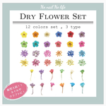 ドライフラワー♡12色*100~120枚