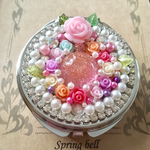  ちょい大きめ♪ミラー付きサプリメントケース Sping roses garden シルバーレジン