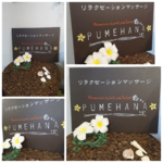 ~pumehana33様専用☺購入ページ