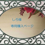 しろ様専用購入ページ