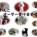 オーダー＊リアル羊毛フェルト【Mサイズ】