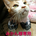 襟首輪