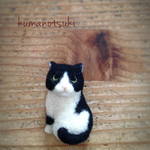 黒白ハチワレ猫さん