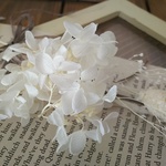 ＊ホワイトスワッグ ♡mini♡洋書つきセット＊