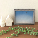 布と写真 【空を飛ぶ鳥】