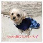 noe206様専用ページ