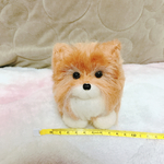 羊毛フェルト ポメラニアン