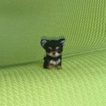 ちびちびチワワ ブラックタン＆ホワイト パピー羊毛フェルト