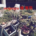 ooyuyu 様専用ページ