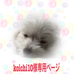 専用ページです
