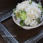 ラナンキュラスポット