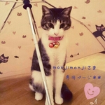 ＊monjimonjiさま専用ページ＊