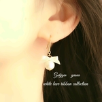 white ribbon イヤリング&ピアス🔹コットンパール             
