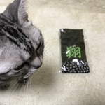 ねこバス様　専用