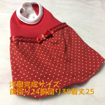 ペット服（ドットワンピ★レッド
